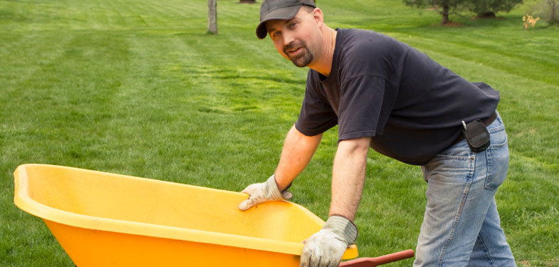 Mays in Mankato -  lawn care